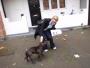 Caroline Kerswell conservative  council candidate in Mile end east delivering leaflets in the local estates and petting a dog