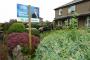 The homemade constructions of the political party signs

Taken on the Cumbria border