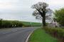 The homemade constructions of the political party signs

Taken on the Cumbria border