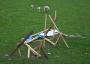 Dismantled Conservative banner in farmers field, North Leeds, who did it? only the sheep know.