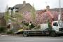 Young trees are delivered as part of a landscaping project along the Albertbridge Road in East Belfast.
The company name on the lorry struck me as profhetic